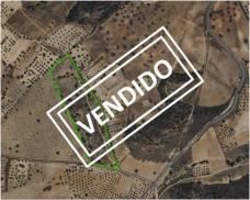 Rustic land  for sale in Lucillos, Estación