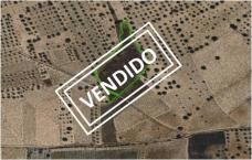 Rustic land  auction in Lucillos, Estación
