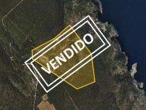 Addmeet Investment, Finca rústica Auction in Torroella de Montgrí